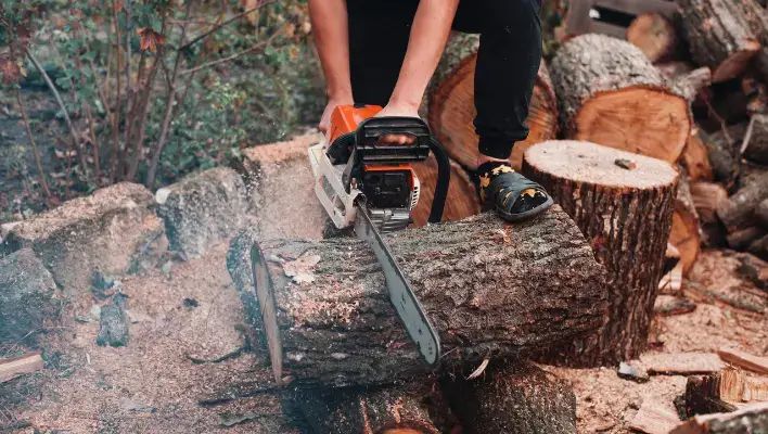 How to Cut Down a Tree with a Chainsaw