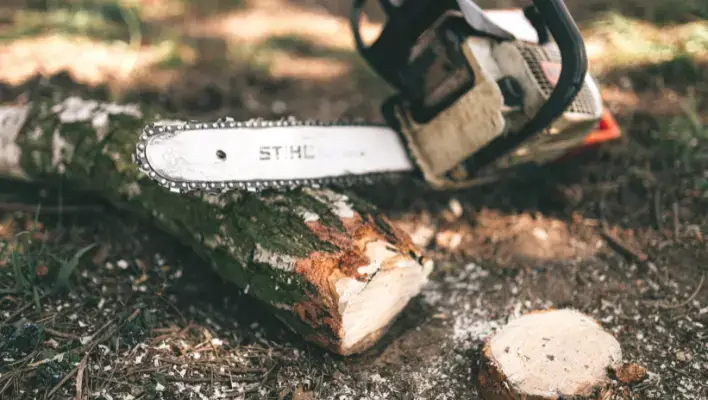 How to Use a Chainsaw Sharpener